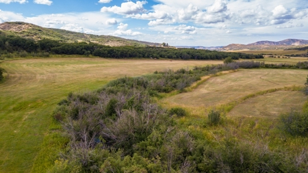 Northwest Colorado Land For Sale Near the Forest Line - image 34