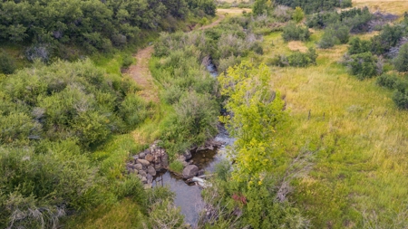 Northwest Colorado Land For Sale Near the Forest Line - image 30