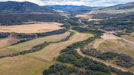 Northwest Colorado Land For Sale Near the Forest Line - image 21