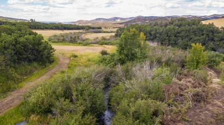Northwest Colorado Land For Sale Near the Forest Line - image 33