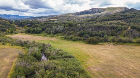 Northwest Colorado Land For Sale Near the Forest Line - image 36