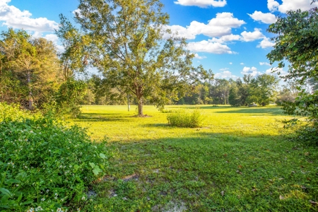 Beautiful Cleared Lot Ready For Your Home For Only $45,000.! - image 5