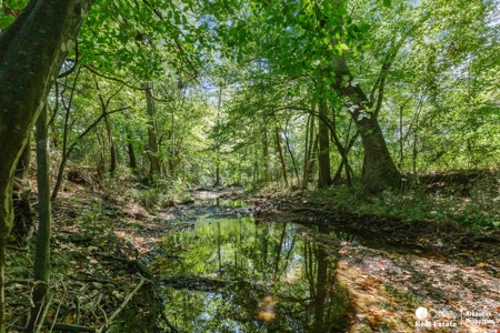 Home with acreage for sale in Arkansas - image 23