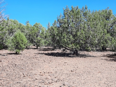 Big Off Grid Northern Az Mountain Property. - image 2
