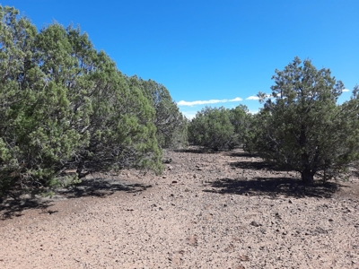 Big Off Grid Northern Az Mountain Property. - image 8