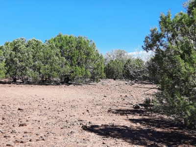 Big Off Grid Northern Az Mountain Property. - image 5