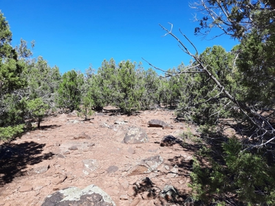 Big Off Grid Northern Az Mountain Property. - image 1