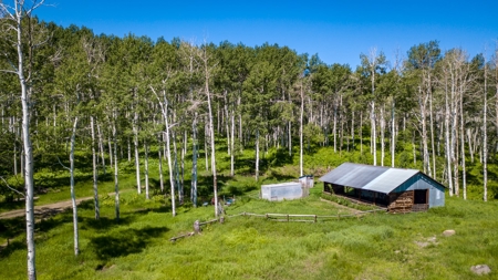 Hunting and Recreational Property on 76 Acres in CO with Cabin, Pond in Unit 12 - image 45