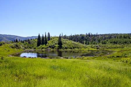 Hunting and Recreational Property on 76 Acres in CO with Cabin, Pond in Unit 12 - image 36