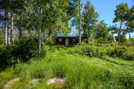 Hunting and Recreational Property on 76 Acres in CO with Cabin, Pond in Unit 12 - image 35