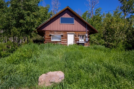 Hunting and Recreational Property on 76 Acres in CO with Cabin, Pond in Unit 12 - image 39