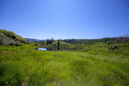 Hunting and Recreational Property on 76 Acres in CO with Cabin, Pond in Unit 12 - image 37