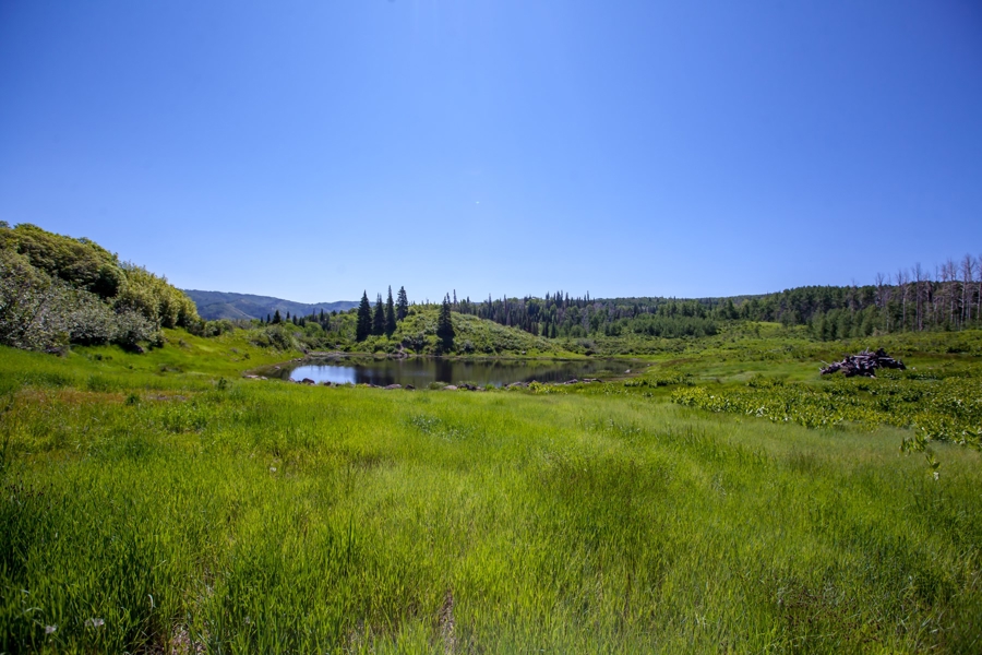 1165 County Road 53, Meeker, CO