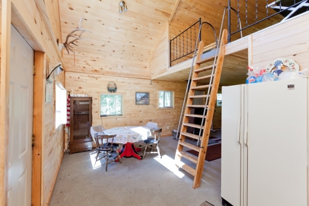 Hunting and Recreational Property on 76 Acres in CO with Cabin, Pond in Unit 12 - image 6