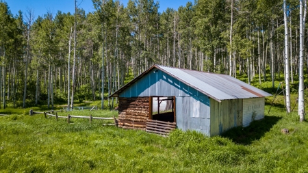 Hunting and Recreational Property on 76 Acres in CO with Cabin, Pond in Unit 12 - image 48