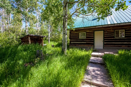 Hunting and Recreational Property on 76 Acres in CO with Cabin, Pond in Unit 12 - image 27