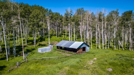 Hunting and Recreational Property on 76 Acres in CO with Cabin, Pond in Unit 12 - image 44