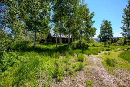 Hunting and Recreational Property on 76 Acres in CO with Cabin, Pond in Unit 12 - image 34