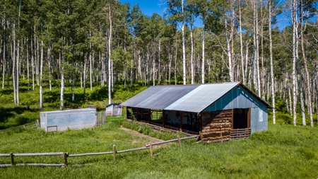 Hunting and Recreational Property on 76 Acres in CO with Cabin, Pond in Unit 12 - image 46