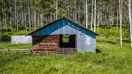 Hunting and Recreational Property on 76 Acres in CO with Cabin, Pond in Unit 12 - image 47