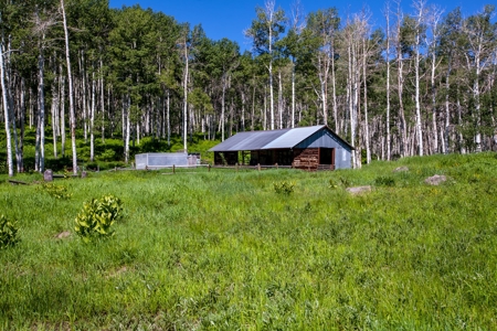 Hunting and Recreational Property on 76 Acres in CO with Cabin, Pond in Unit 12 - image 29