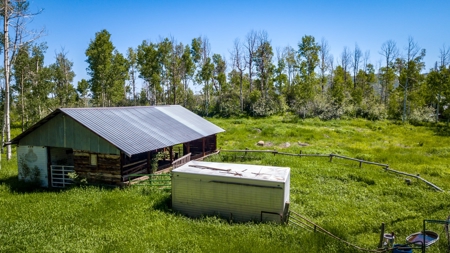 Hunting and Recreational Property on 76 Acres in CO with Cabin, Pond in Unit 12 - image 50