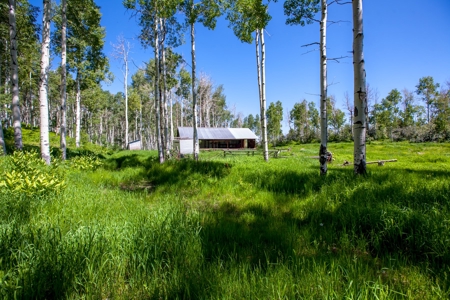 Hunting and Recreational Property on 76 Acres in CO with Cabin, Pond in Unit 12 - image 33
