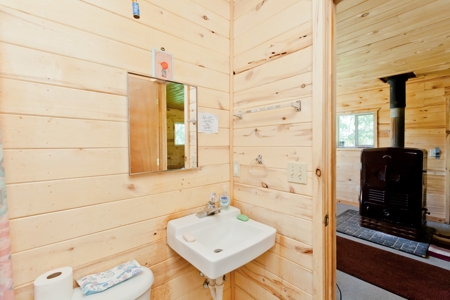 Hunting and Recreational Property on 76 Acres in CO with Cabin, Pond in Unit 12 - image 17