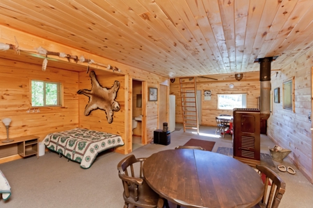 Hunting and Recreational Property on 76 Acres in CO with Cabin, Pond in Unit 12 - image 15
