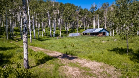 Hunting and Recreational Property on 76 Acres in CO with Cabin, Pond in Unit 12 - image 43