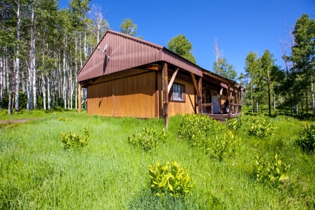 Hunting and Recreational Property on 76 Acres in CO with Cabin, Pond in Unit 12 - image 32