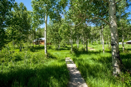 Hunting and Recreational Property on 76 Acres in CO with Cabin, Pond in Unit 12 - image 25