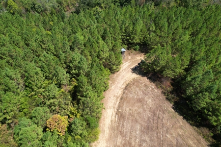 Hunting and Timberland For Sale Simpson County Mississippi - image 2