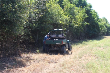 Hunting and Timberland For Sale Simpson County Mississippi - image 20