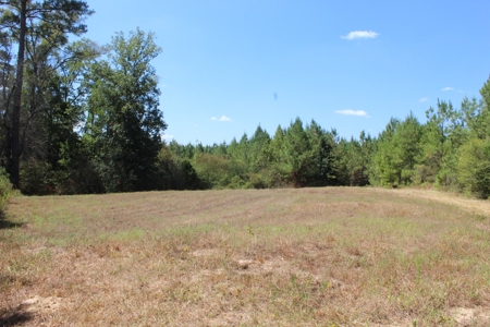 Hunting and Timberland For Sale Simpson County Mississippi - image 13