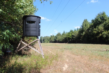 Hunting and Timberland For Sale Simpson County Mississippi - image 21