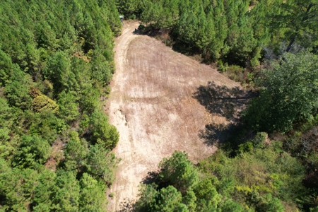 Hunting and Timberland For Sale Simpson County Mississippi - image 1