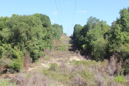 Hunting and Timberland For Sale Simpson County Mississippi - image 15