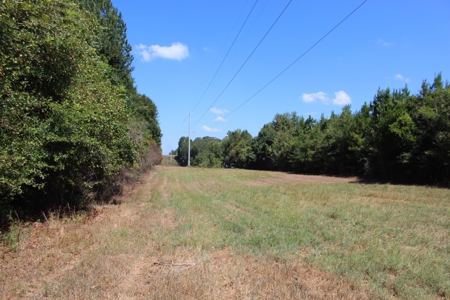 Hunting and Timberland For Sale Simpson County Mississippi - image 25
