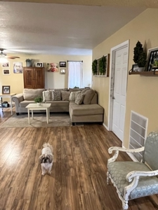FOR SALE: Beautiful SPACIOUS Home/ OUTSKIRTS of TOWN - image 21