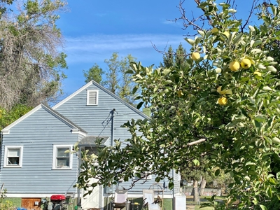 Incredible Investment Duplex Opportunity in Central Montana! - image 31