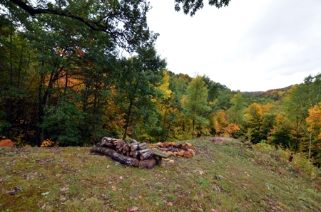 Sweet Cabin, Well Cared For, 44.8 Acres the Driftless Region - image 1