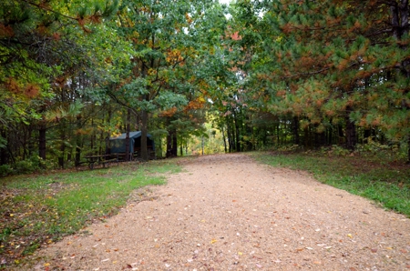 Sweet Cabin, Well Cared For, 44.8 Acres the Driftless Region - image 27