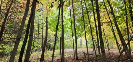 Sweet Cabin, Well Cared For, 44.8 Acres the Driftless Region - image 47