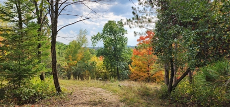 Sweet Cabin, Well Cared For, 44.8 Acres the Driftless Region - image 44