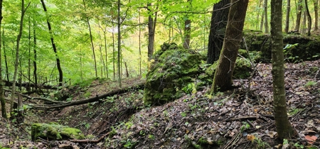 Sweet Cabin, Well Cared For, 44.8 Acres the Driftless Region - image 43