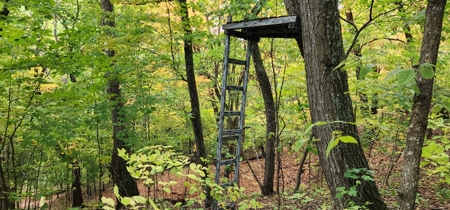 Sweet Cabin, Well Cared For, 44.8 Acres the Driftless Region - image 48
