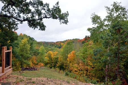 Sweet Cabin, Well Cared For, 44.8 Acres the Driftless Region - image 7
