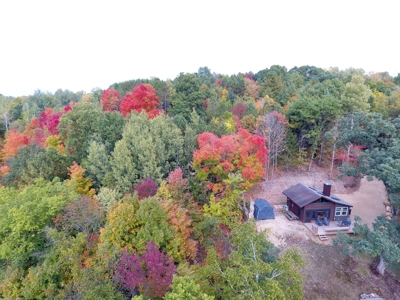 Sweet Cabin, Well Cared For, 44.8 Acres the Driftless Region - image 29