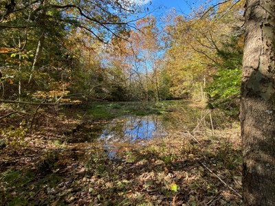Vacant Land in Mountain Grove, Missouri - image 3